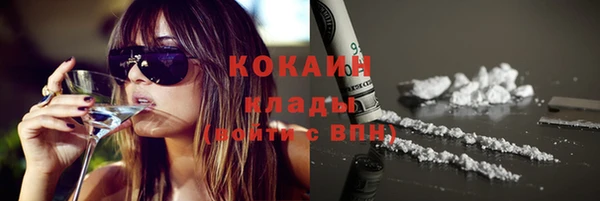 молекула духа Козельск