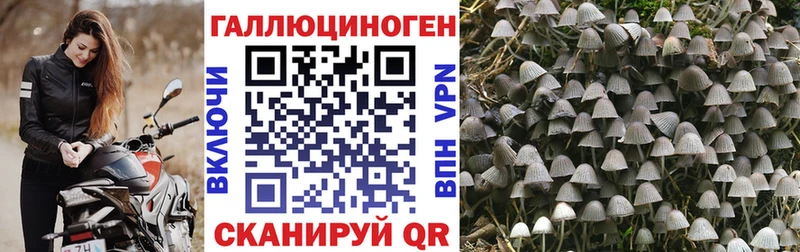 ссылка на мегу зеркало  Лысково  Псилоцибиновые грибы Psilocybine cubensis 